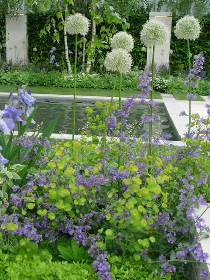 Wasserbecken mit Bepflanzung im Garten